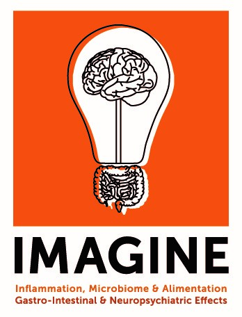  IMAGINE SPOR 